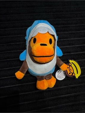 Baby milo shark